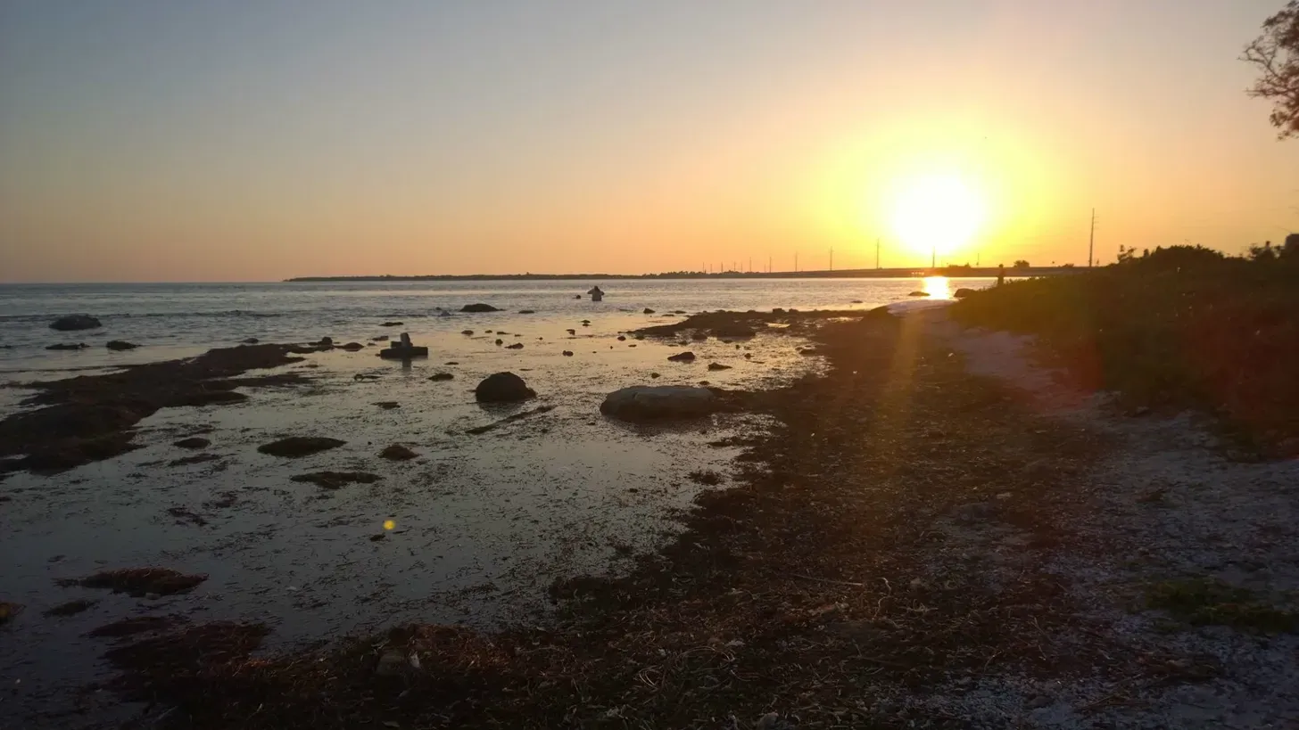 Steady Current Press